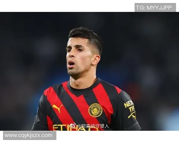 坎塞洛在赛季中的表现分析与未来发展潜力探讨